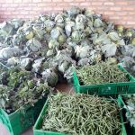 GASABO: Farmers’ Coop. donates vegetables as Government rolls out Food assistance to vulnerable families in Lockdown
