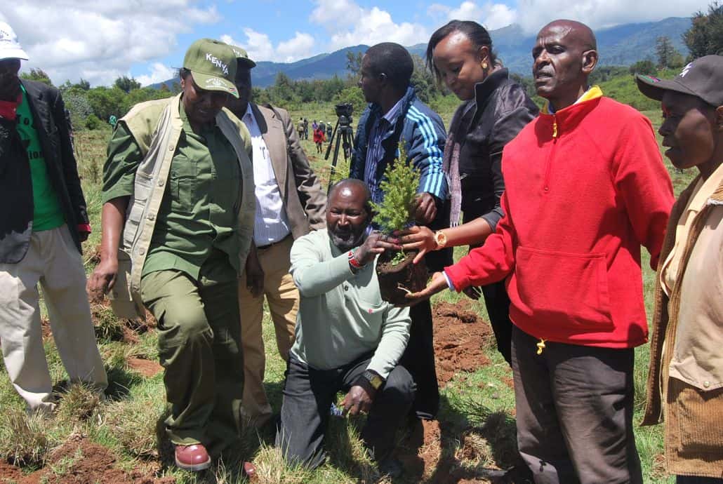 Is this the next Wangari Maathai? | TOP AFRICA NEWS