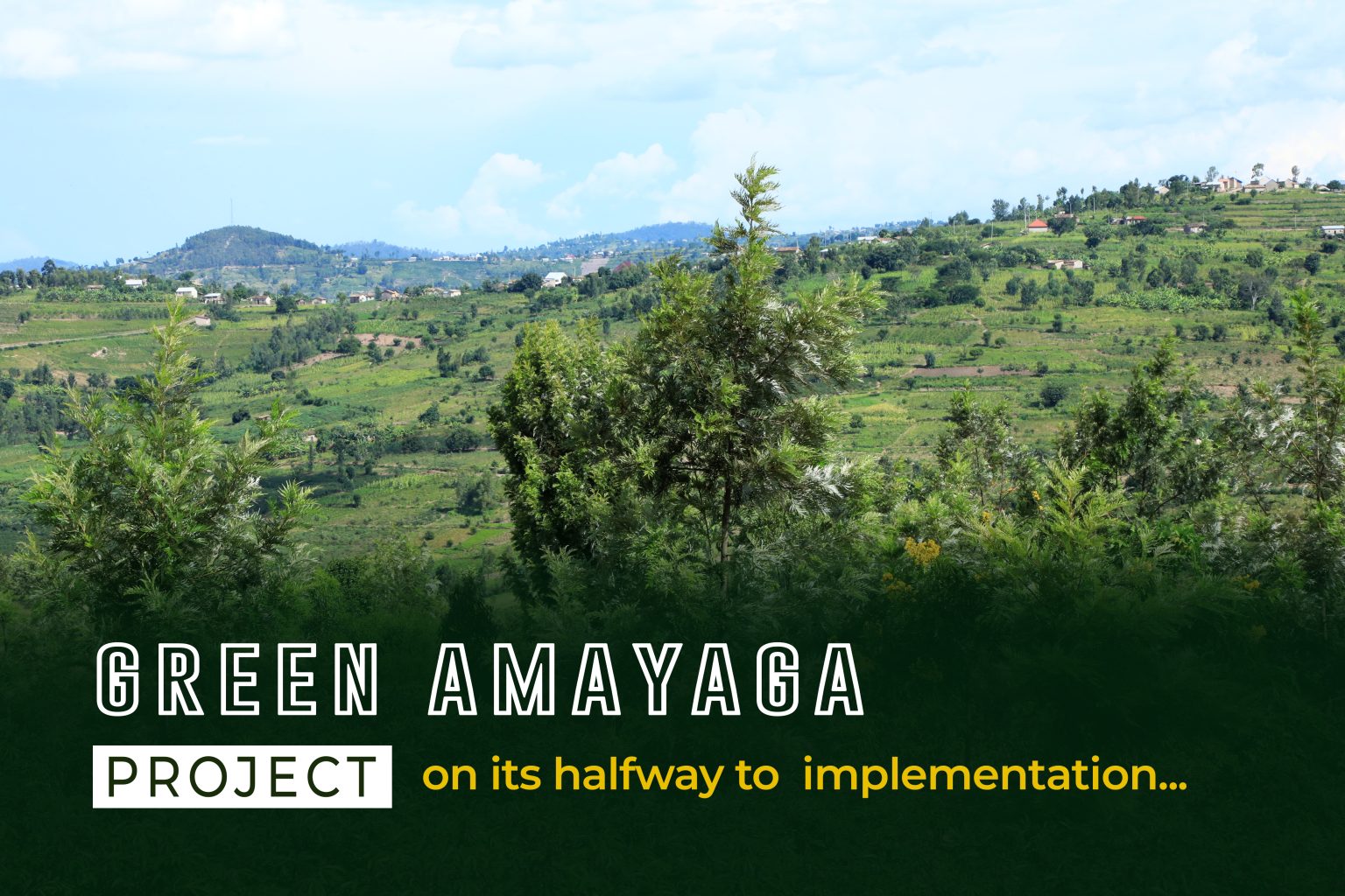 Green Rwanda: High expectations for the sustainable restoration of the ...