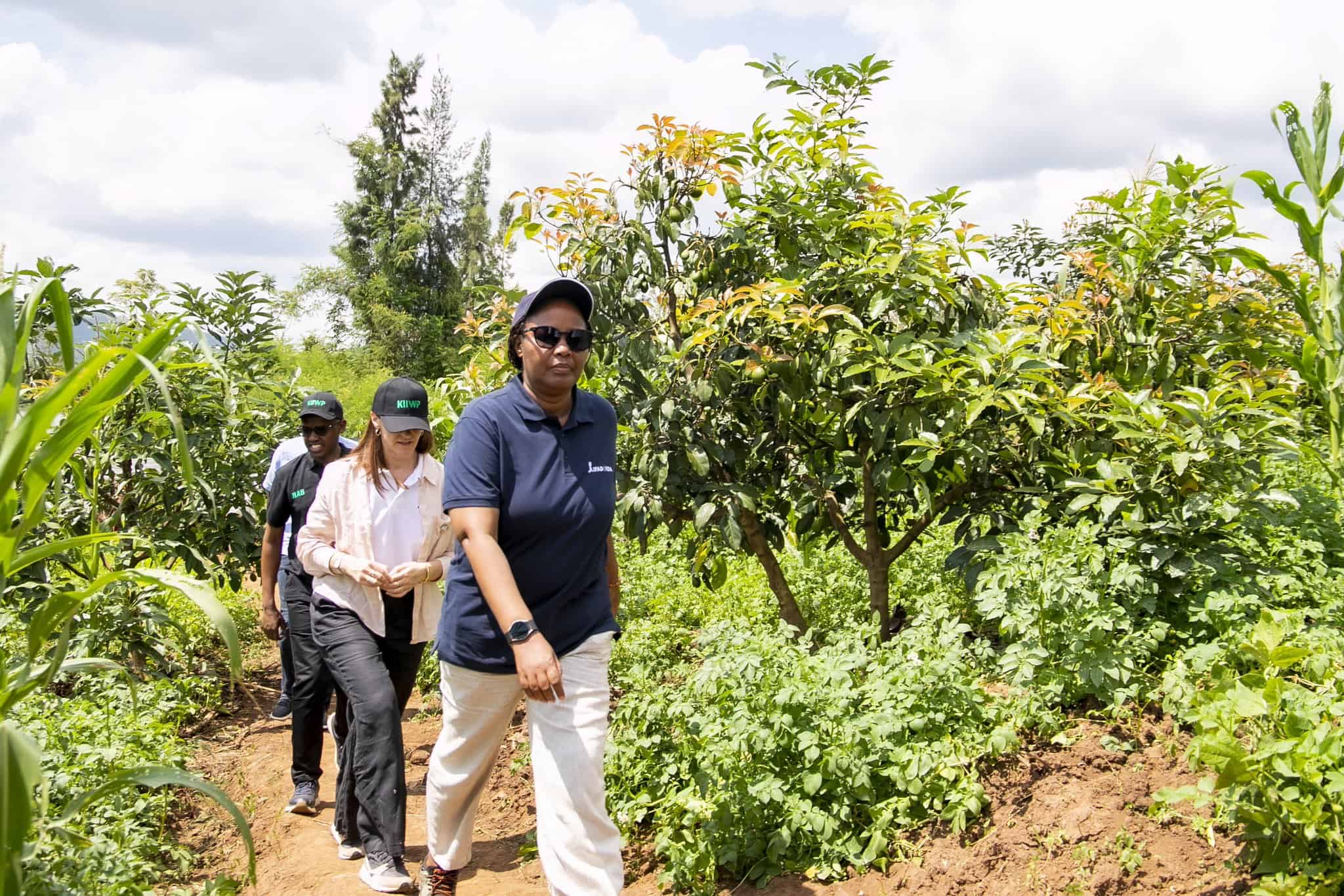 Doreen Rwigamba Kayonza Fruit Orchard: A Beacon of Hope in Drought-Prone Region | TOP ...