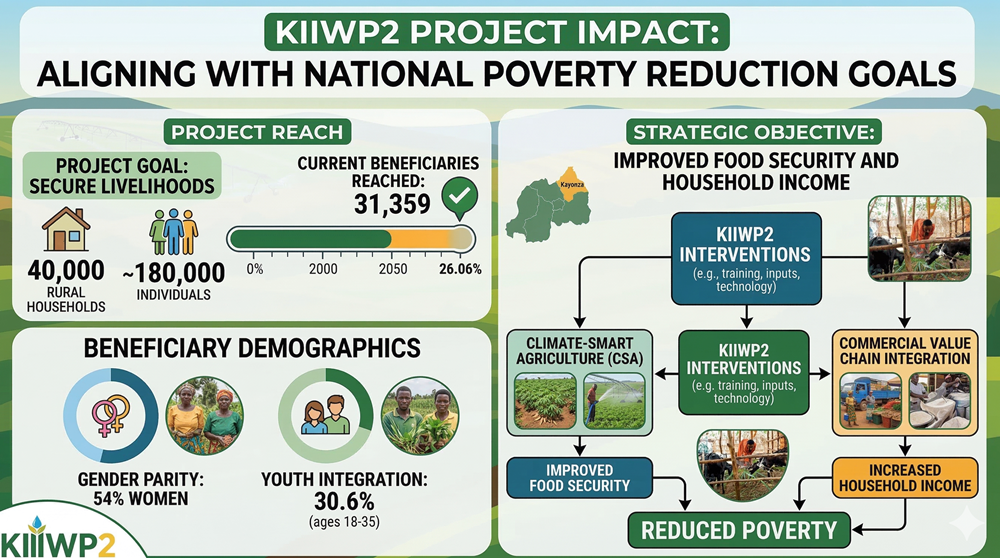 Agricultural Impact Report: Five Ways KIIWP Transforms Agriculture in Kayonza, Rwanda