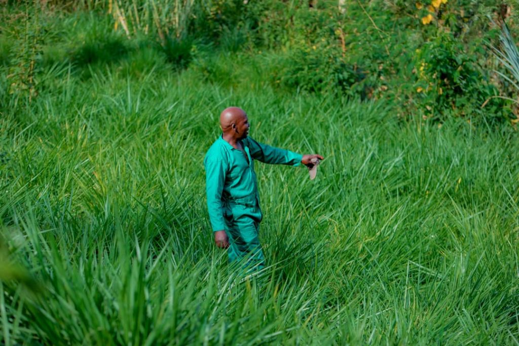 Man in a teal-green jumpsuit stands in tall grass, extending an arm as he holds a small folder or map.