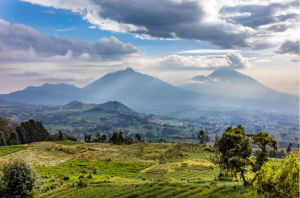 Terraced green fields in foreground with rolling hills and misty mountains beneath a cloudy sky.