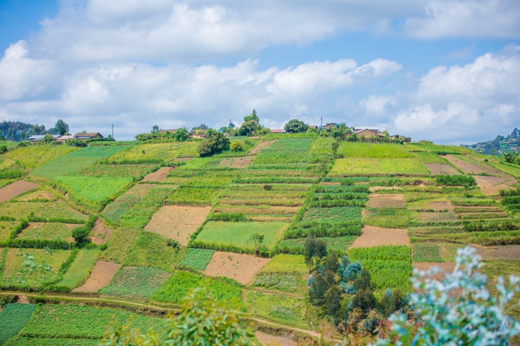 Terraced farmland on a hillside with small houses at the crest under a blue sky with clouds.