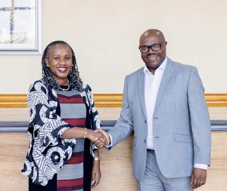 Two professionals shake hands and smile for the camera in a formal indoor setting.