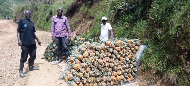 Three men stand beside a large pile of pineapples on a dirt road in a green, hilly area while posing for the photo.