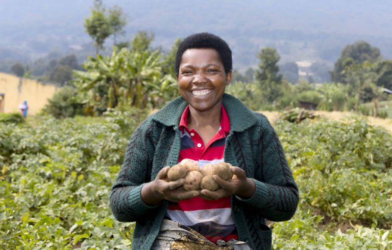 Smiling person in a red polo shirt and green cardigan holds a handful of potatoes in a garden farm setting.