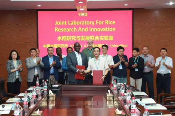 AfricaRice Strengthens Strategic Partnerships with Leading Chinese Research Institutions to Accelerate Rice Innovation in Africa
