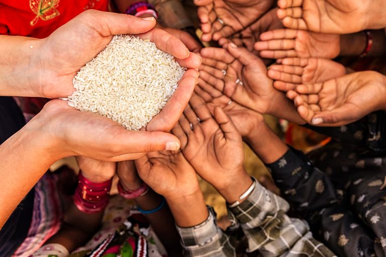 Most countries off track to meet 2030 food systems goals, new study finds