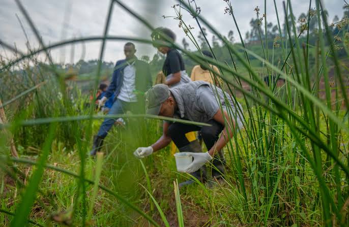 Dismantling ‘Paper Tigers’: Global Experts Chart the Transition of One Health from Policy to Action