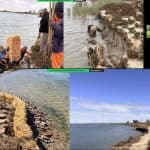 How Proven, Community-Led Restoration Redefines East Atlantic Flyway Protection