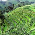 How Rwanda Turns Climate Ambitions into a Transformative Wave of Investment