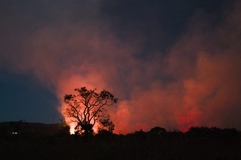 Global warming set to overshoot 1.5°C, UN calls for immediate emissions cuts