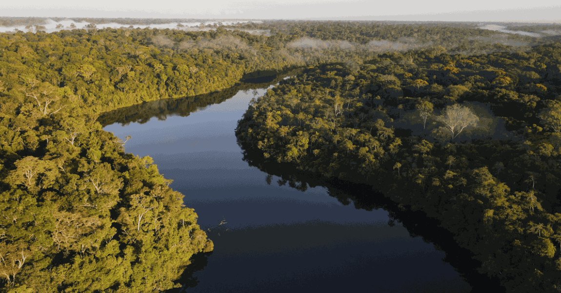 Amazon Day: Lessons from Brazil’s Urban Climate Strategy