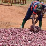 Rwanda Tops 40 African Countries in World Bank Governance and Development Policy Assessment