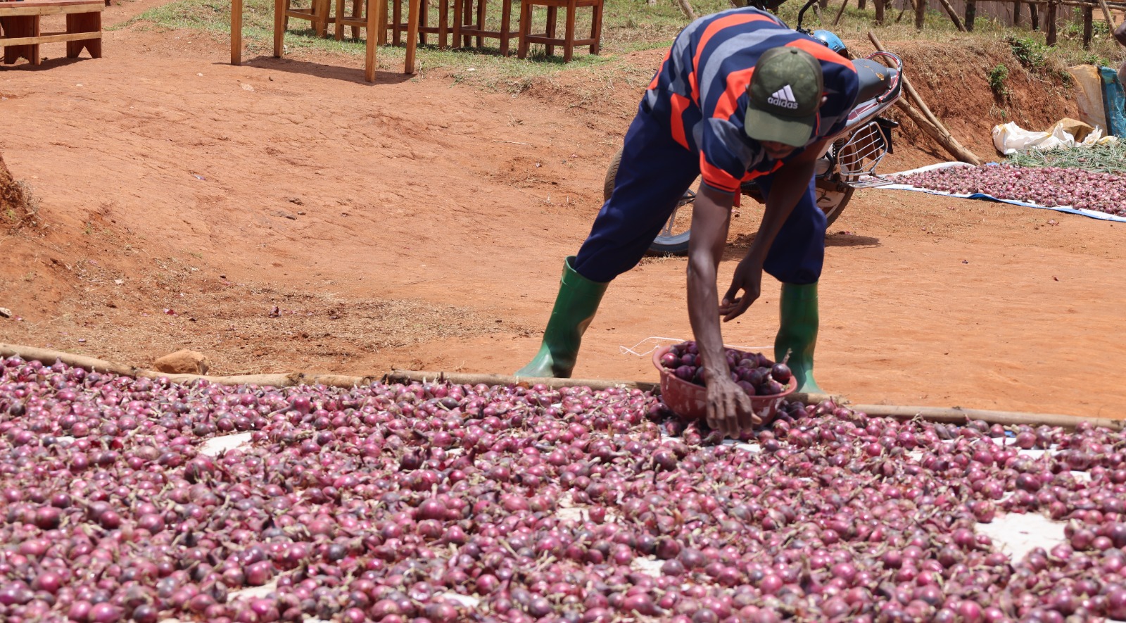 Rwanda Tops 40 African Countries in World Bank Governance and Development Policy Assessment
