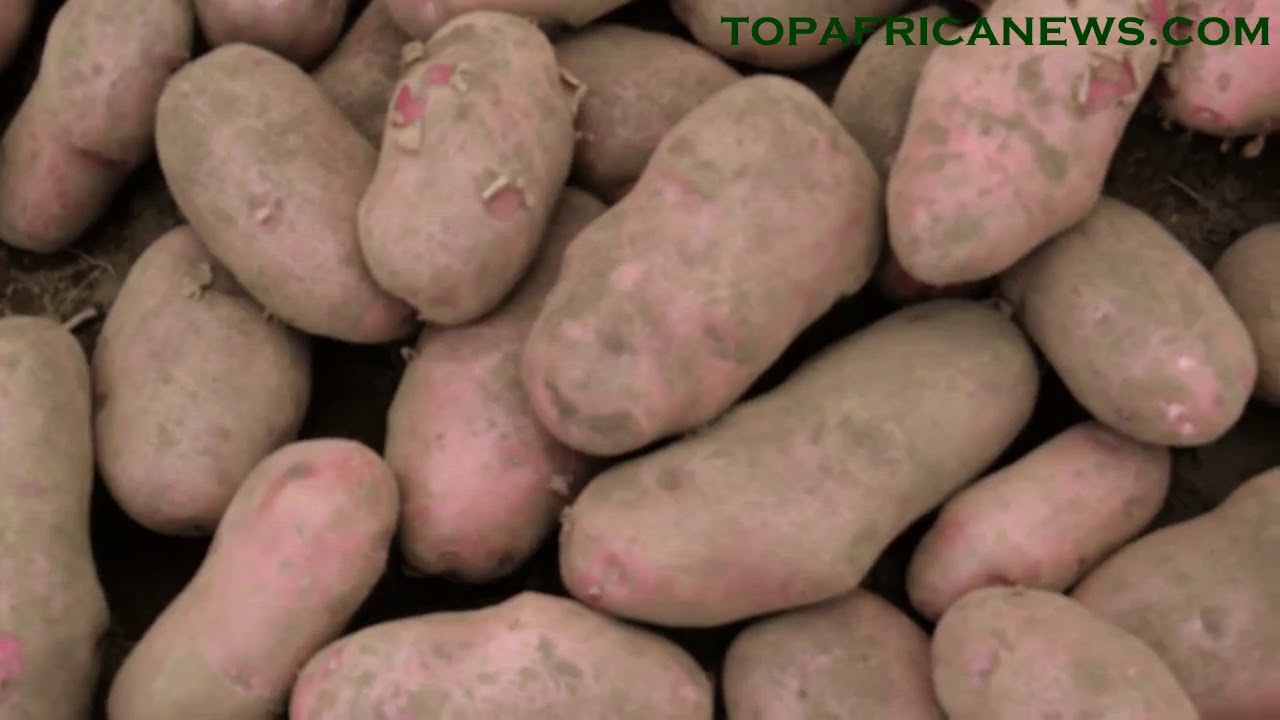 youtube placeholder image